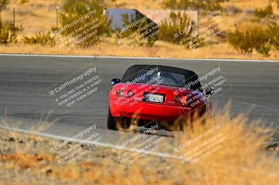media/Nov-16-2024-Extreme Speed (Sat) [[6587d07cc4]]/Purple Group/Session 3 (The Bowl)/